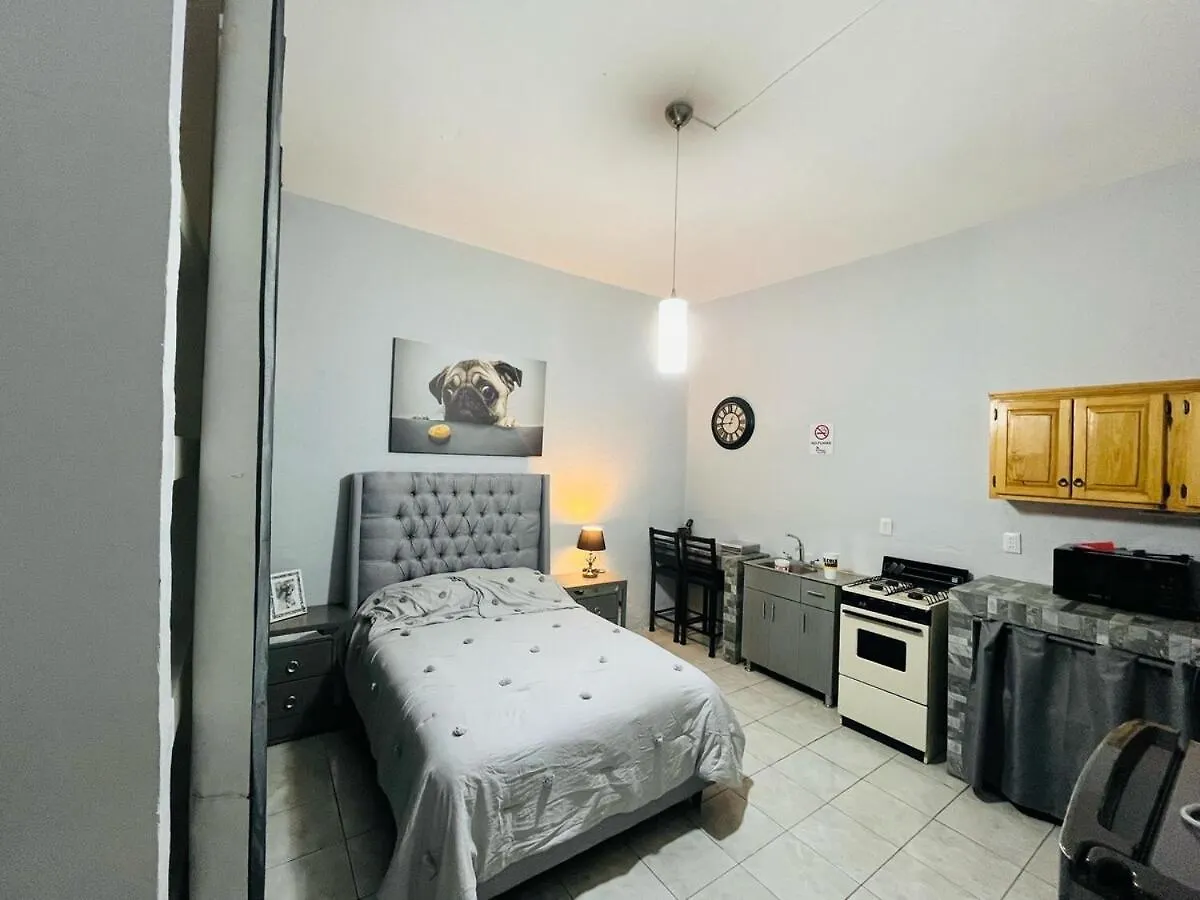 New Apartment In Downtown Guadalajara