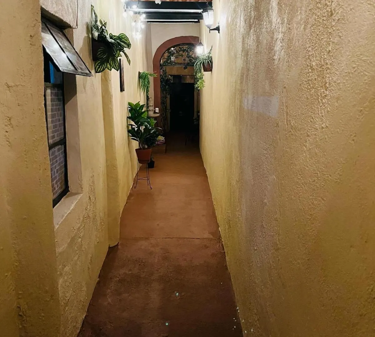 New Apartment In Downtown Guadalajara